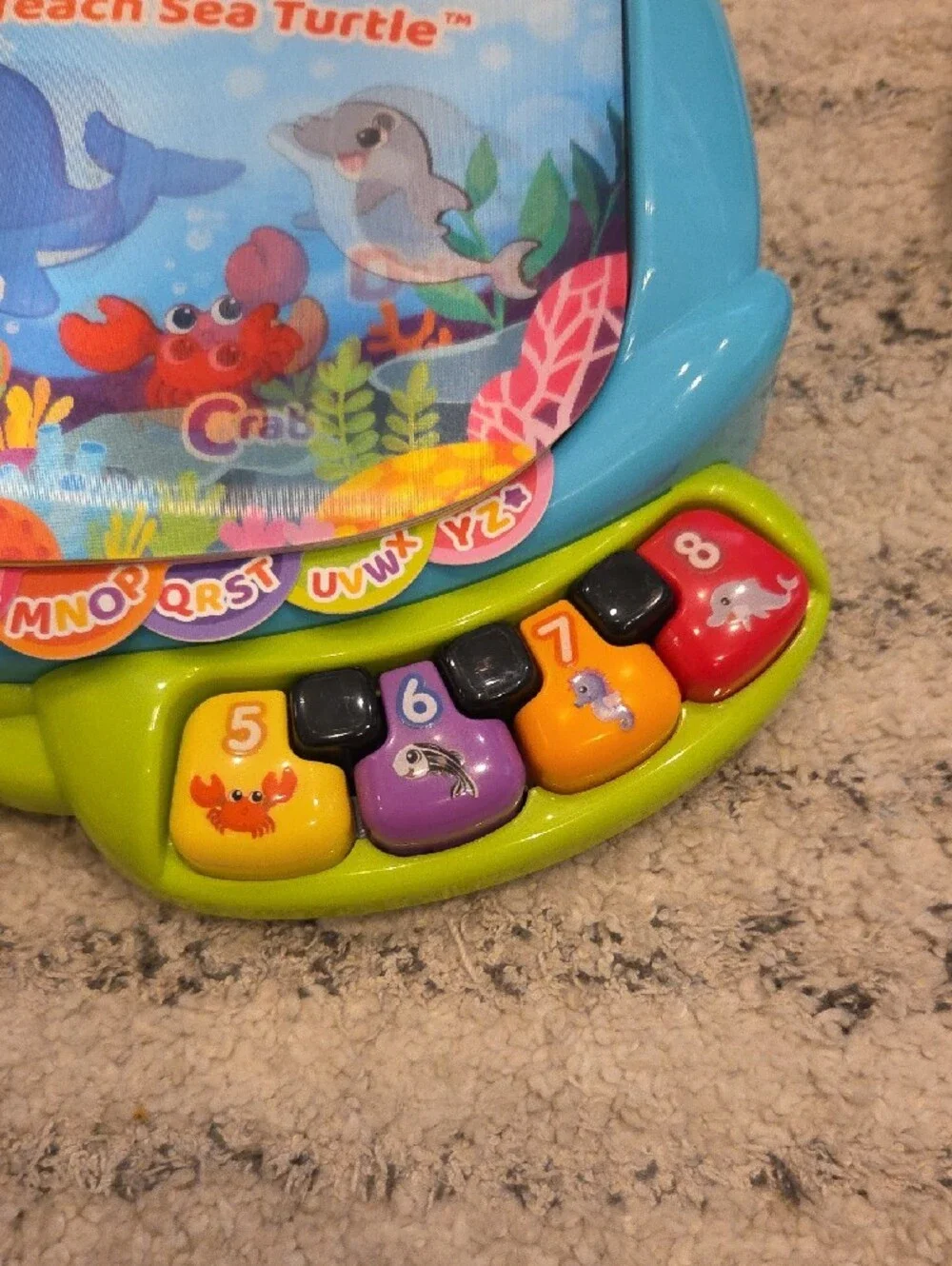 VTech Touch & Teach Sea Turtle Learning Toy